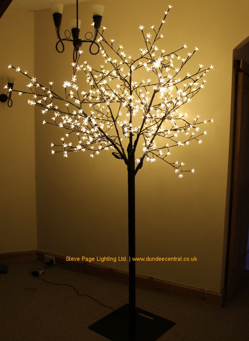 tall fairylight tree hire dundee fife